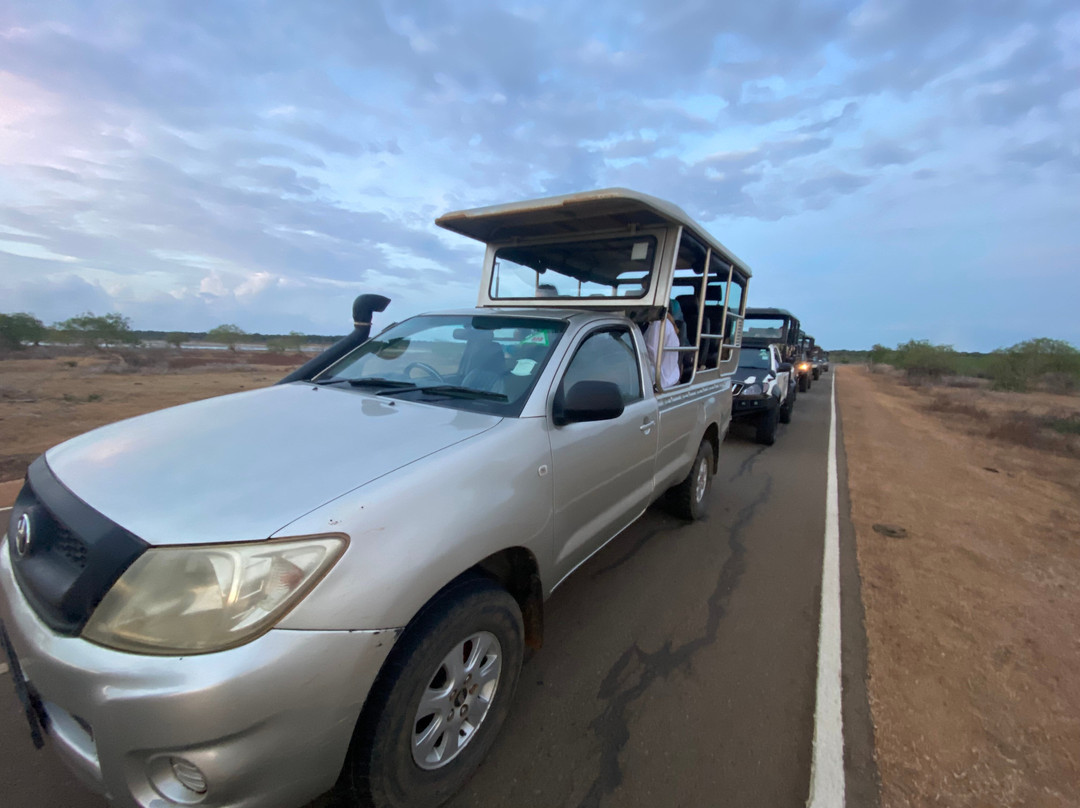 Panchi Safari Jeep Tours-蒂瑟默哈拉默必去景点