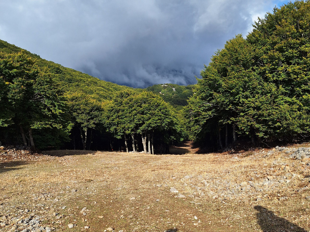 Parco delle Madonie-巴勒莫必去景点