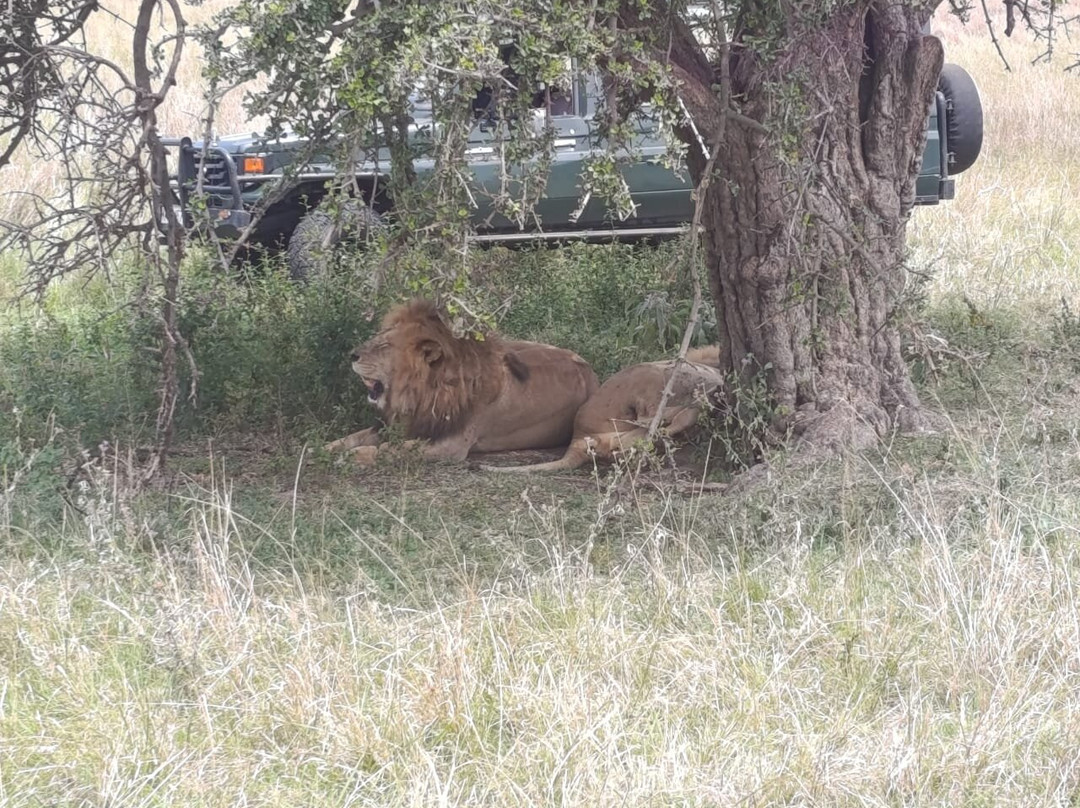 Destinations Kenya Safari-内罗毕必去景点