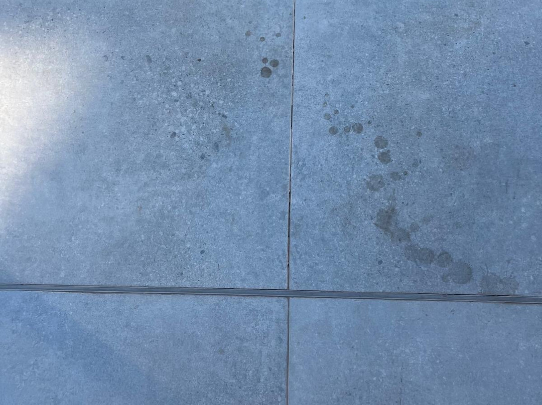 Gran Hotel Alameda主图