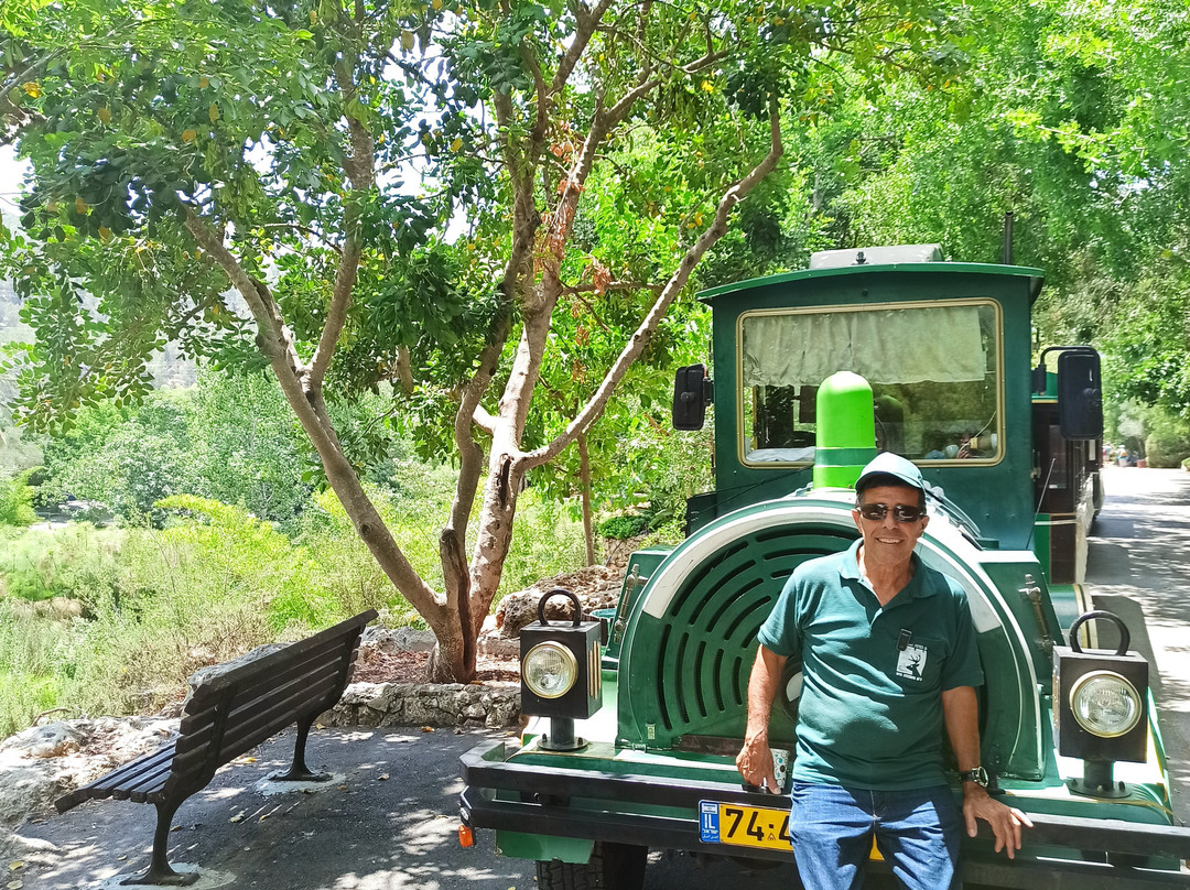 Tisch Family Zoological Gardens (Biblical Zoo)-耶路撒冷必去景点