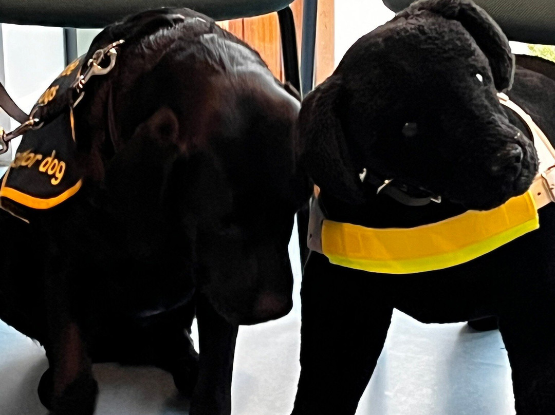 Guide Dogs - National Centre-Bishops Tachbrook必去景点