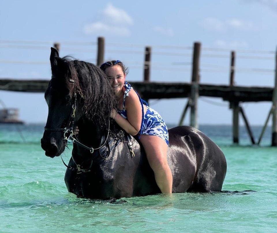 Royal Stable Zanzibar-米查维必去景点