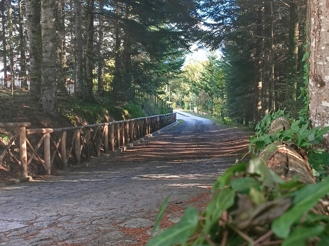 Parco Di Villa Vittoria-Mongiana必去景点