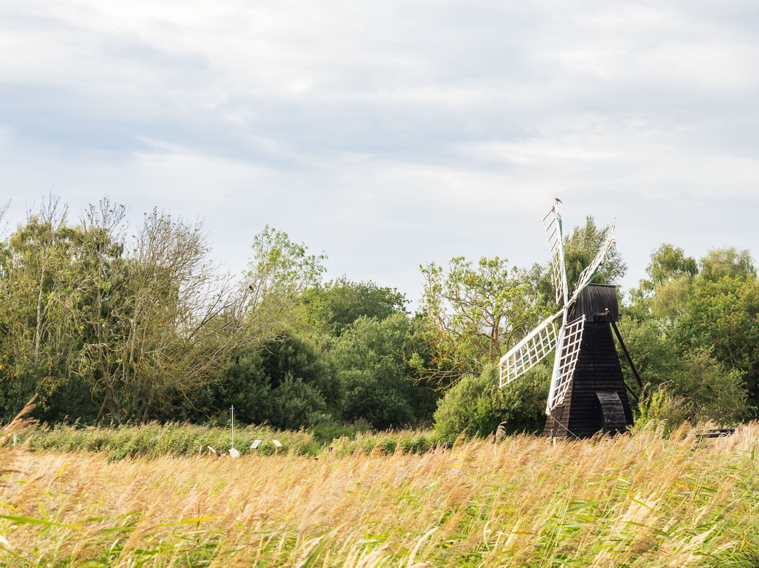Wicken Fen National Nature Reserve-伊利必去景点