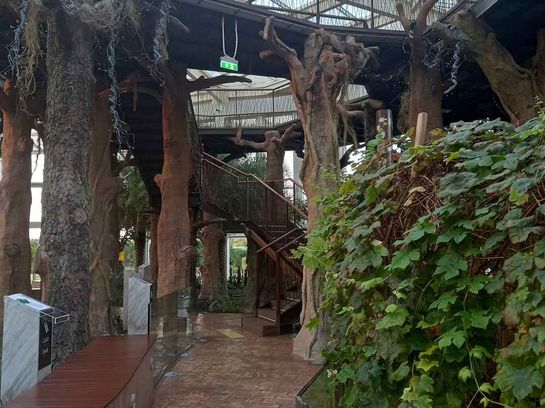 Quranic Park-迪拜必去景点