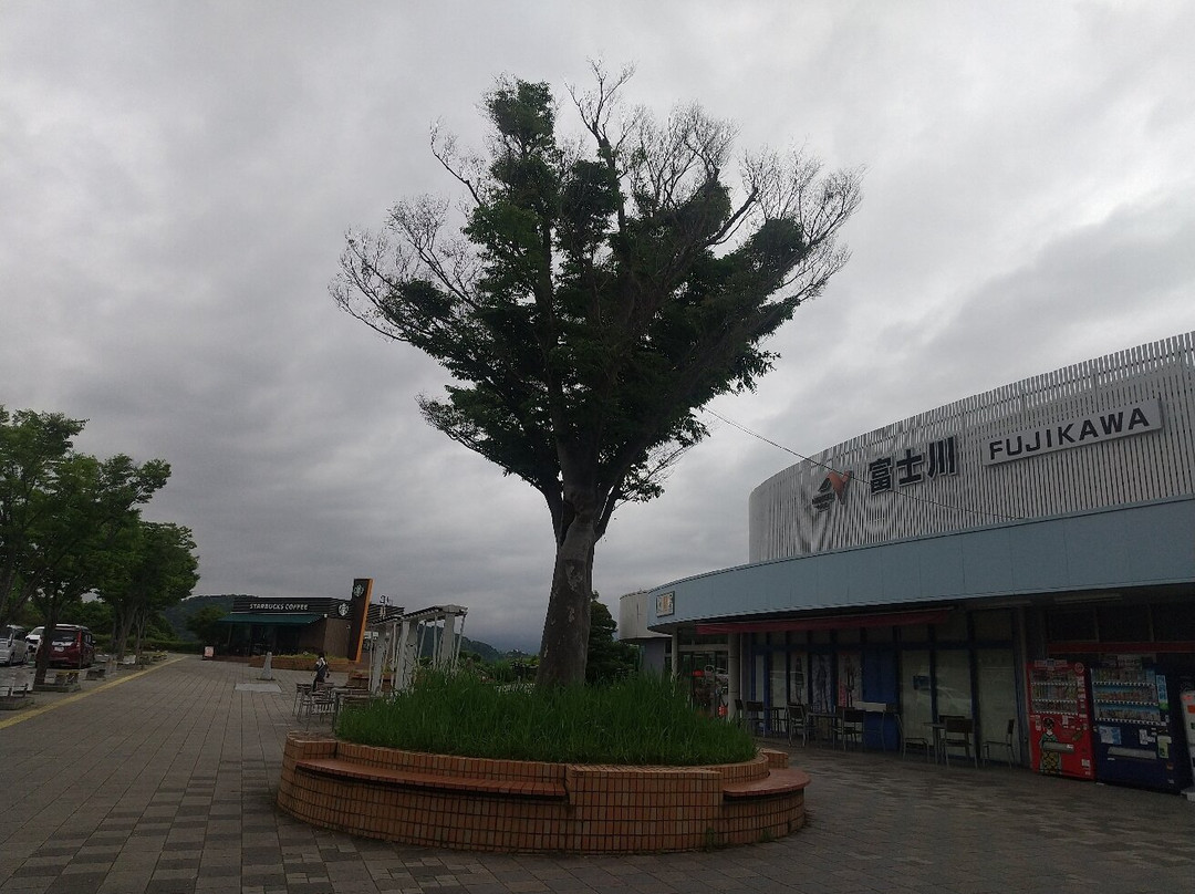 富士川服务区 下行线-富士市必去景点