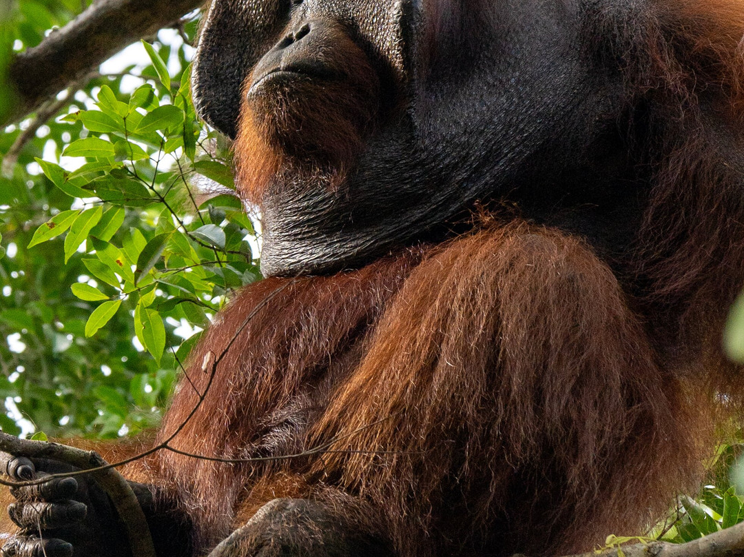 Bali Profond-登巴萨必去景点