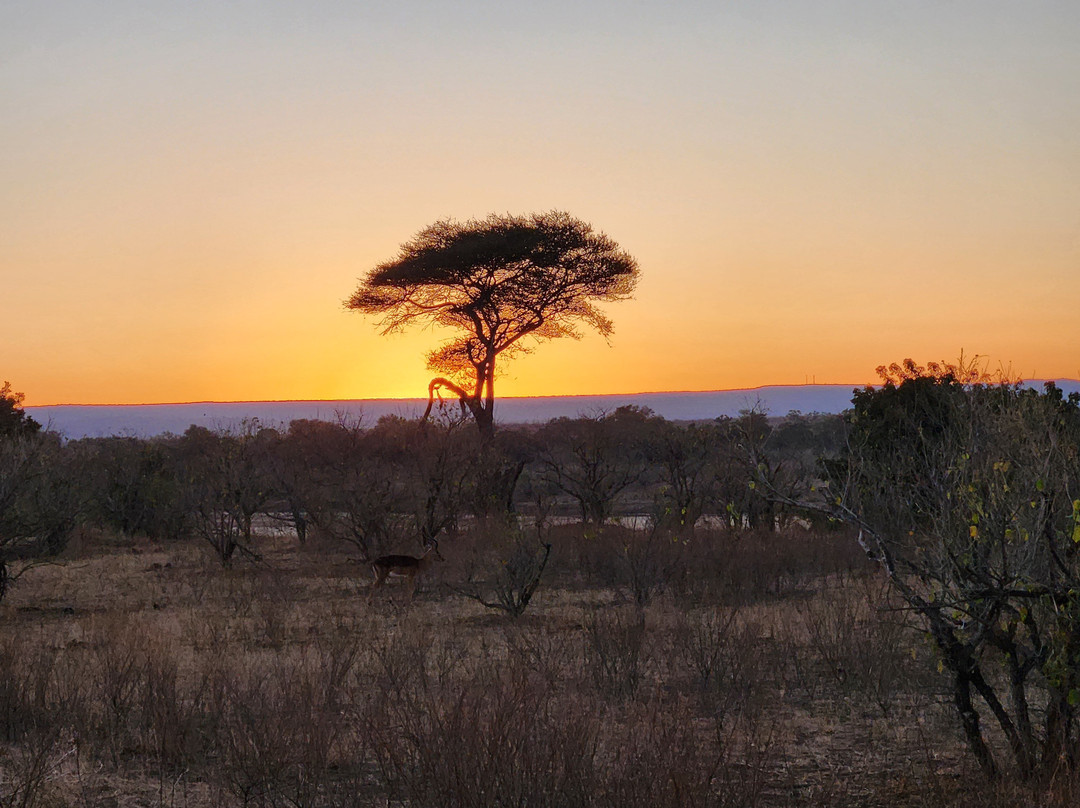 Khalanga Safaris-伐拉博瓦必去景点
