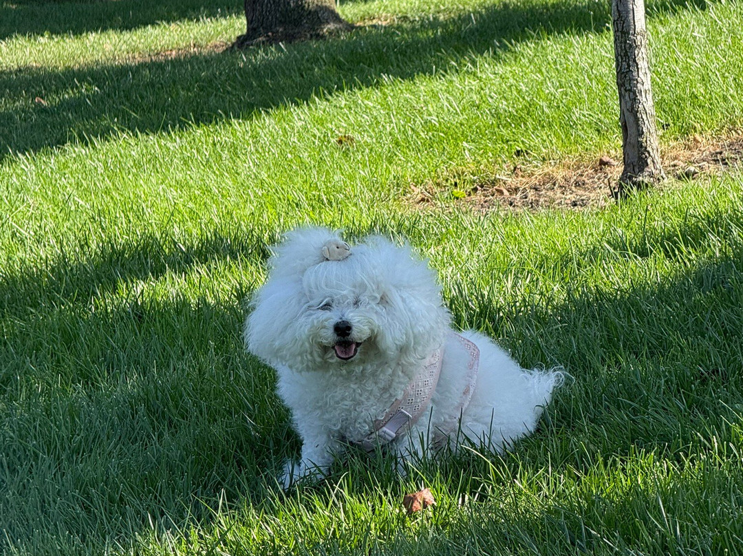 普莱森顿万豪酒店主图