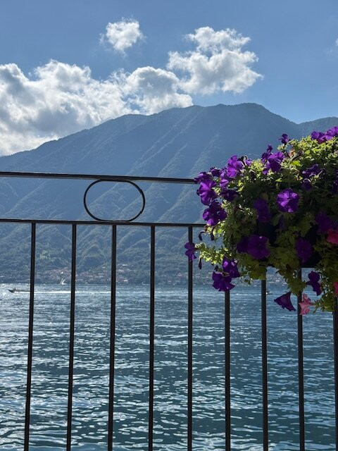 Musa Lago Di Como主图