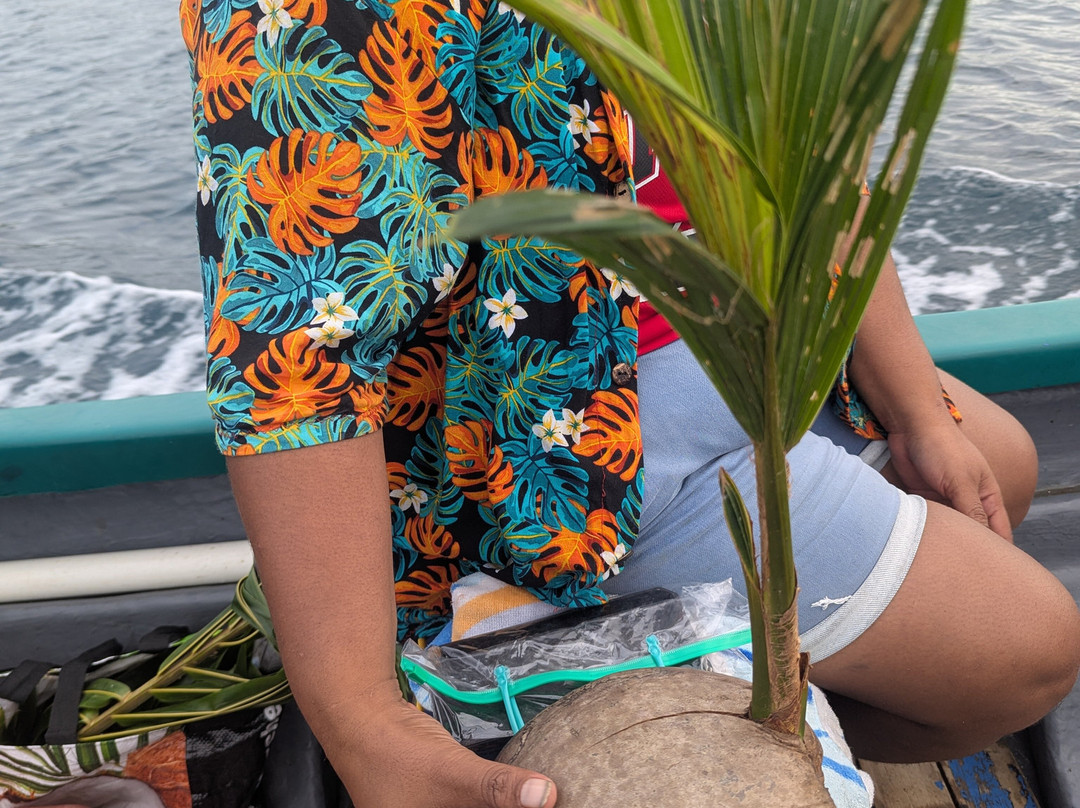 Paruki Transfer & Tour Adventures-维拉港必去景点