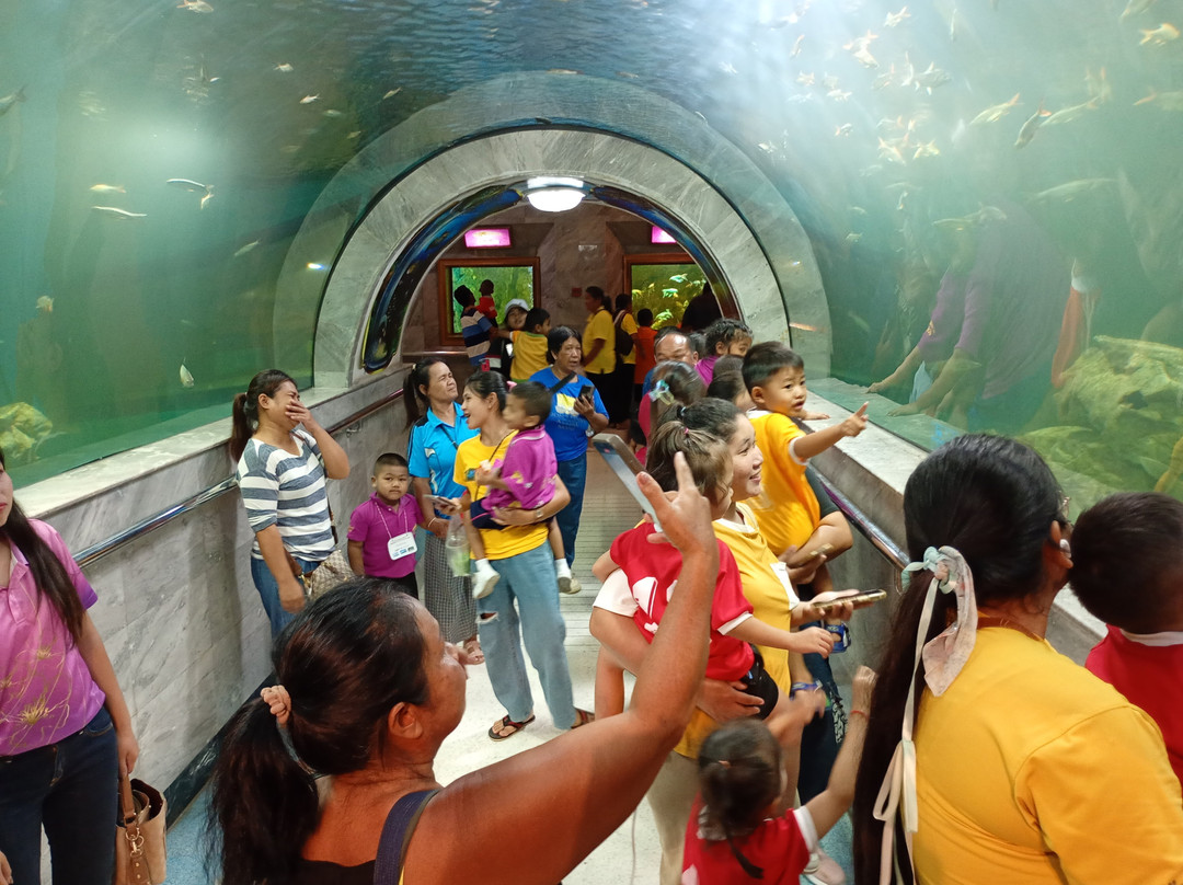 Mueang Roi Et Municipality Aquarium-黎逸必去景点