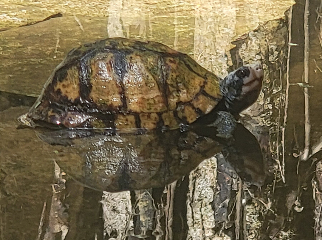 Premier Adventures-梅里达必去景点