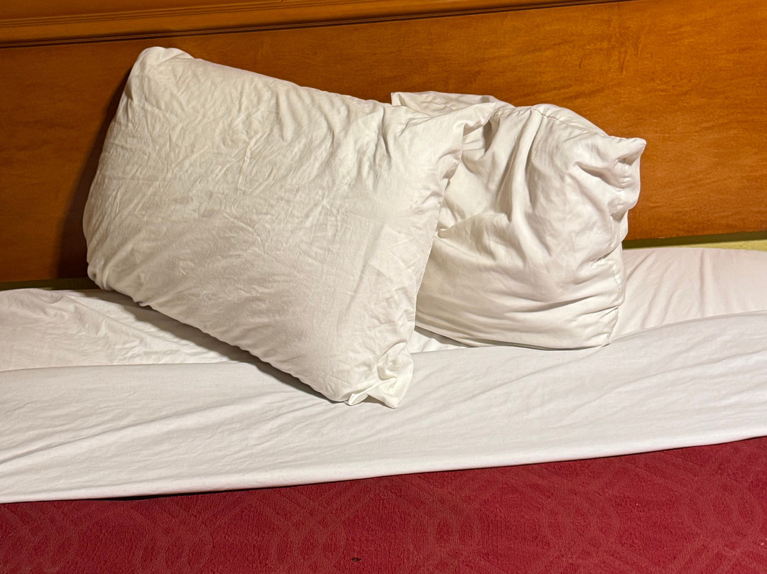 Econo Lodge East主图