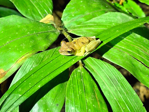 Vida Tours Ecuador-基多必去景点