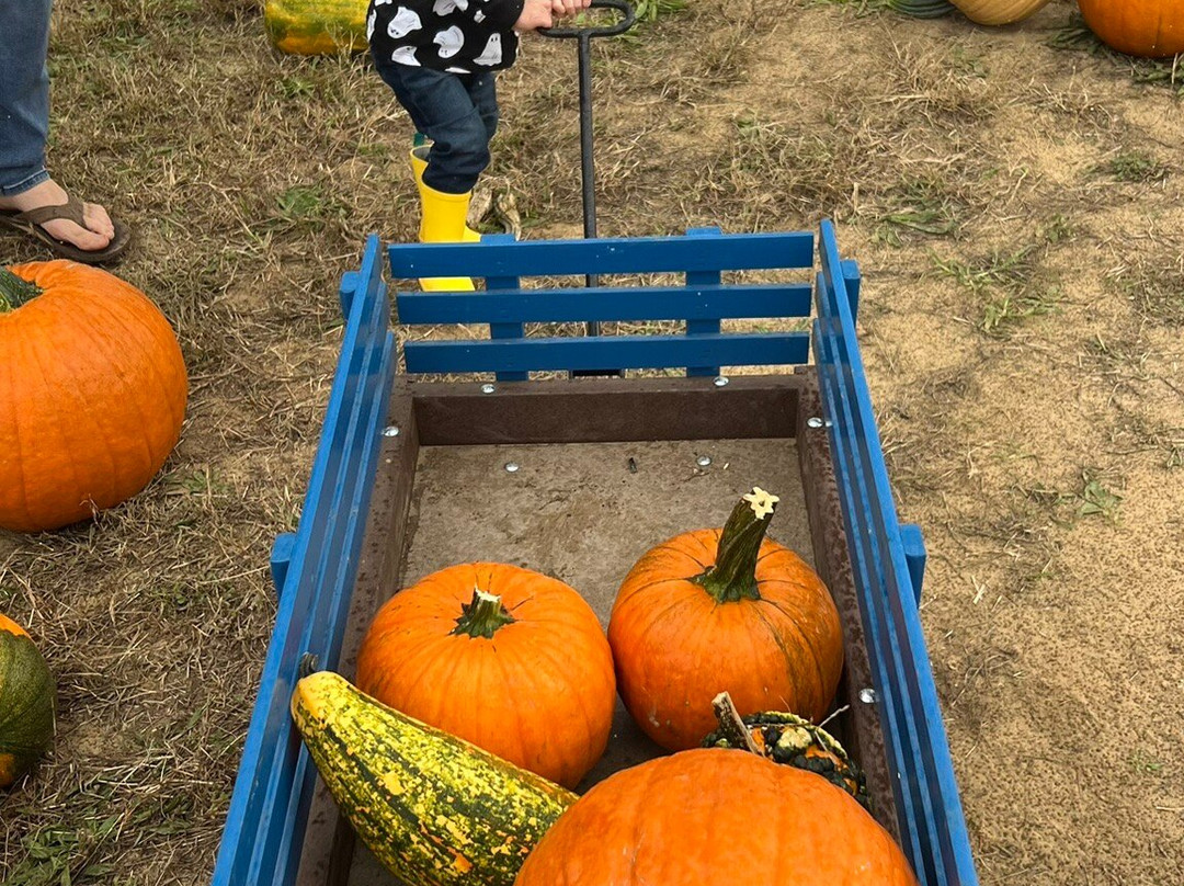 Montpelier Farm-Upper Marlboro必去景点