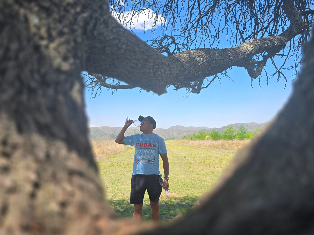 Bodega Furfaro-贝尔格拉诺将军区必去景点