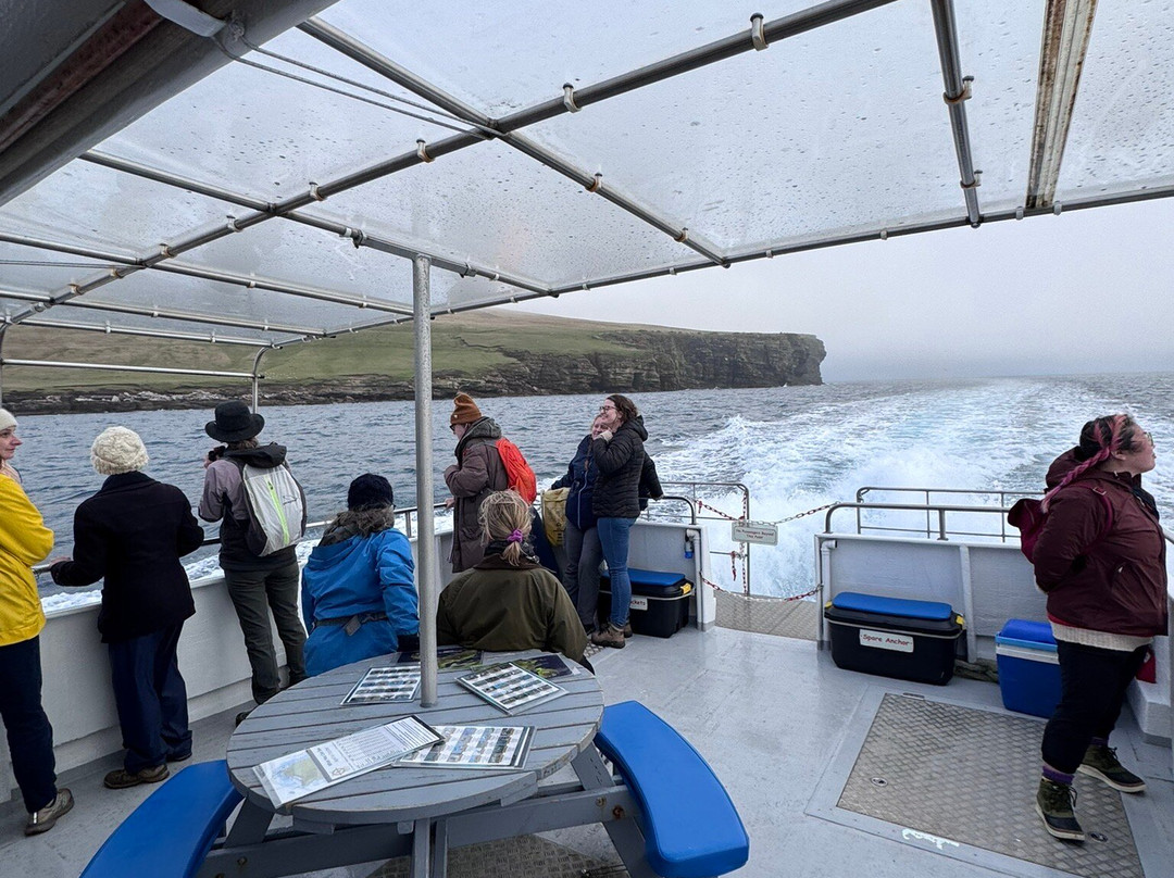 Seabirds and Seals - The Original Noss Boat Tours-Lerwick必去景点