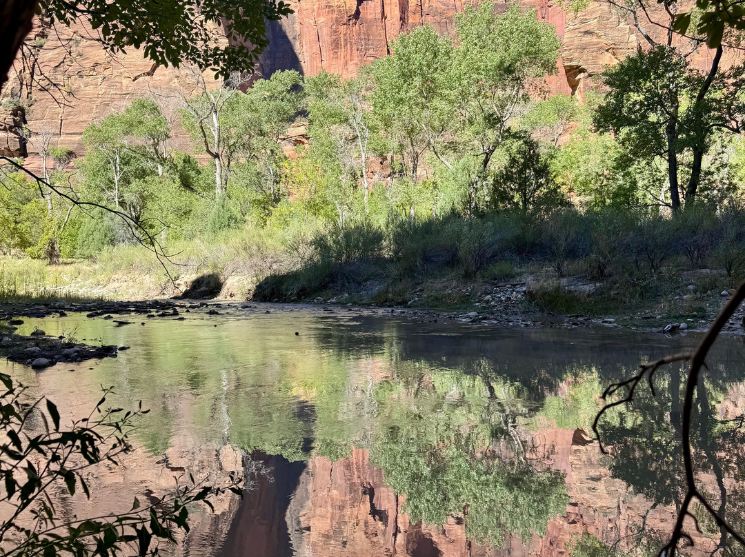 Zion Peddler-斯普林代尔必去景点