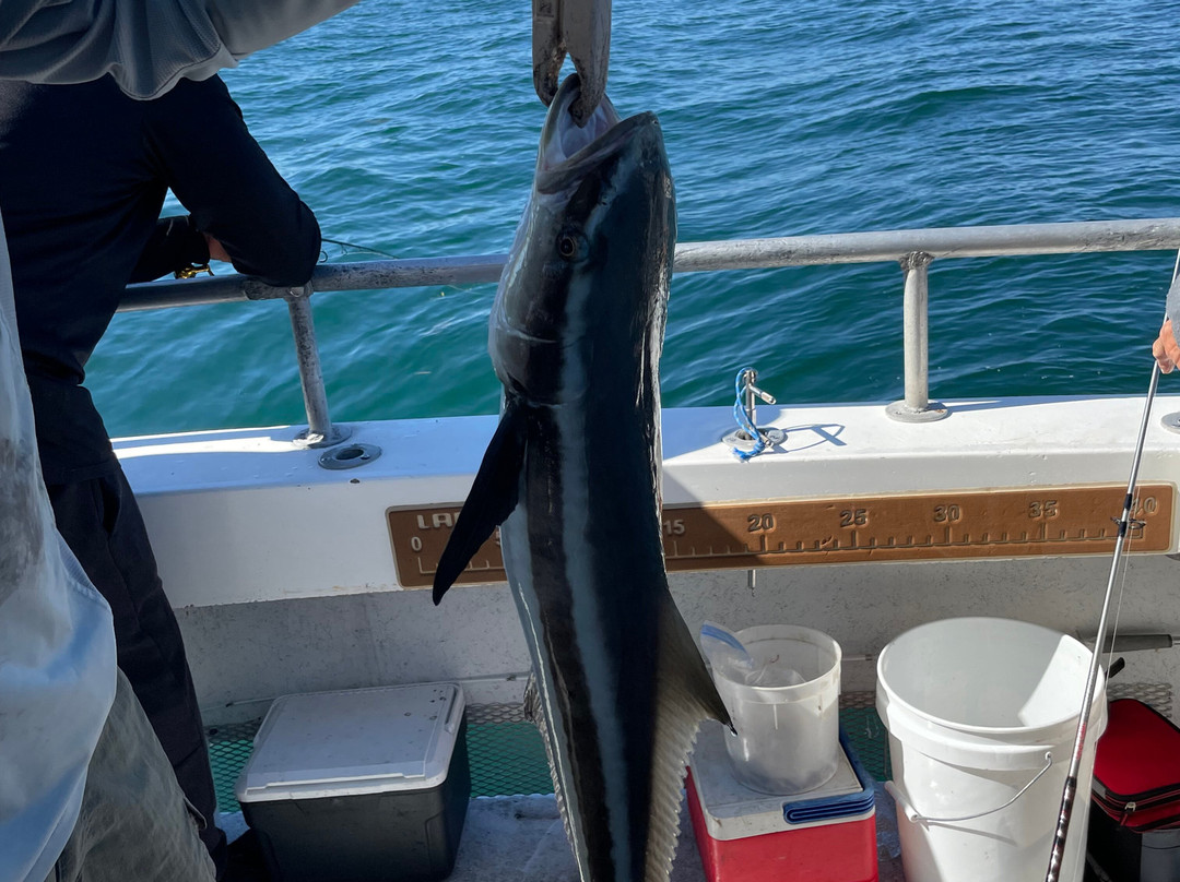 Thunder Party Boat-Hernando Beach必去景点