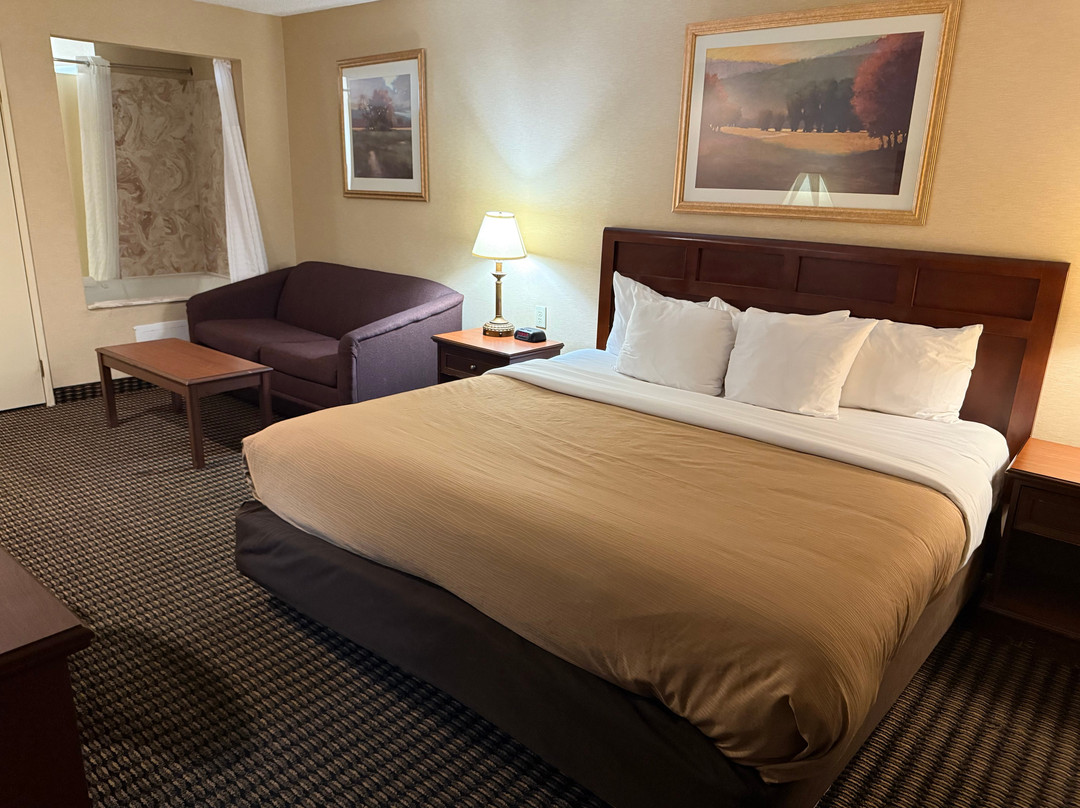 利沃尼亚酒店住宿-Wingate by Wyndham Livonia