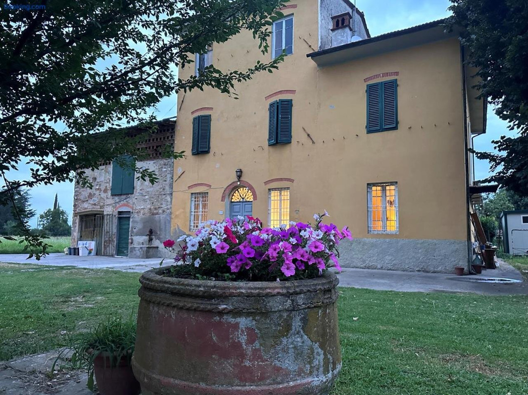 Paradiso Verde