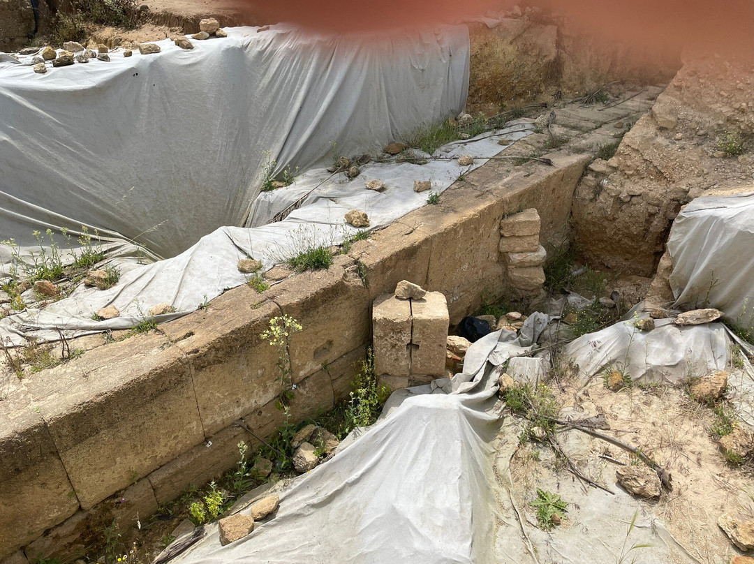 Utica-比塞大必去景点