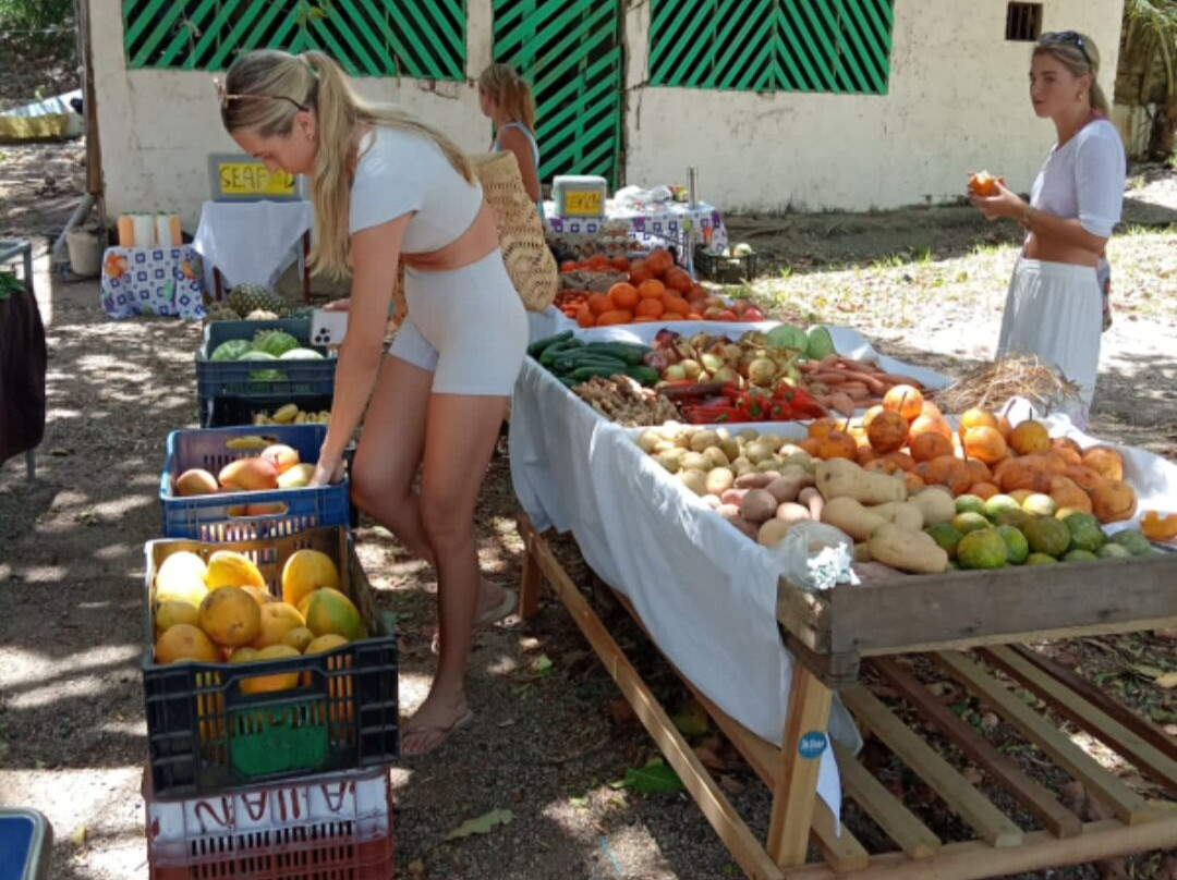 Feria De Emprendedores Playa Pelada-诺萨拉必去景点