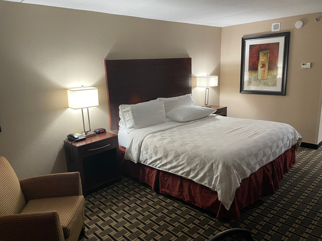 新伦敦假日酒店主图