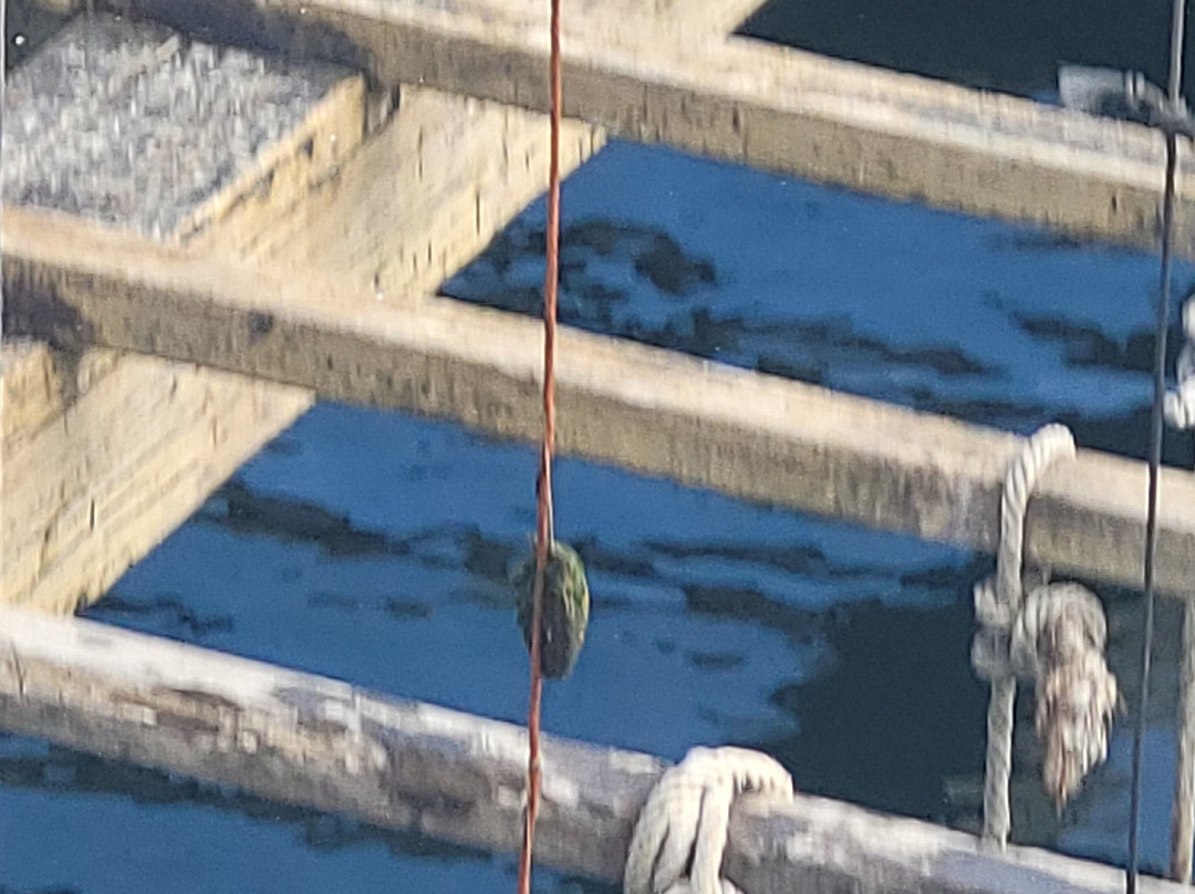 Cruceros do Ulla Turimares-格罗韦必去景点