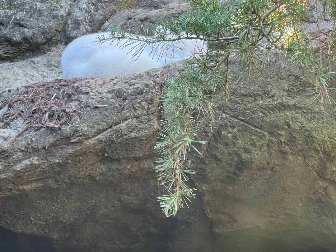 North Carolina Zoo-Asheboro必去景点