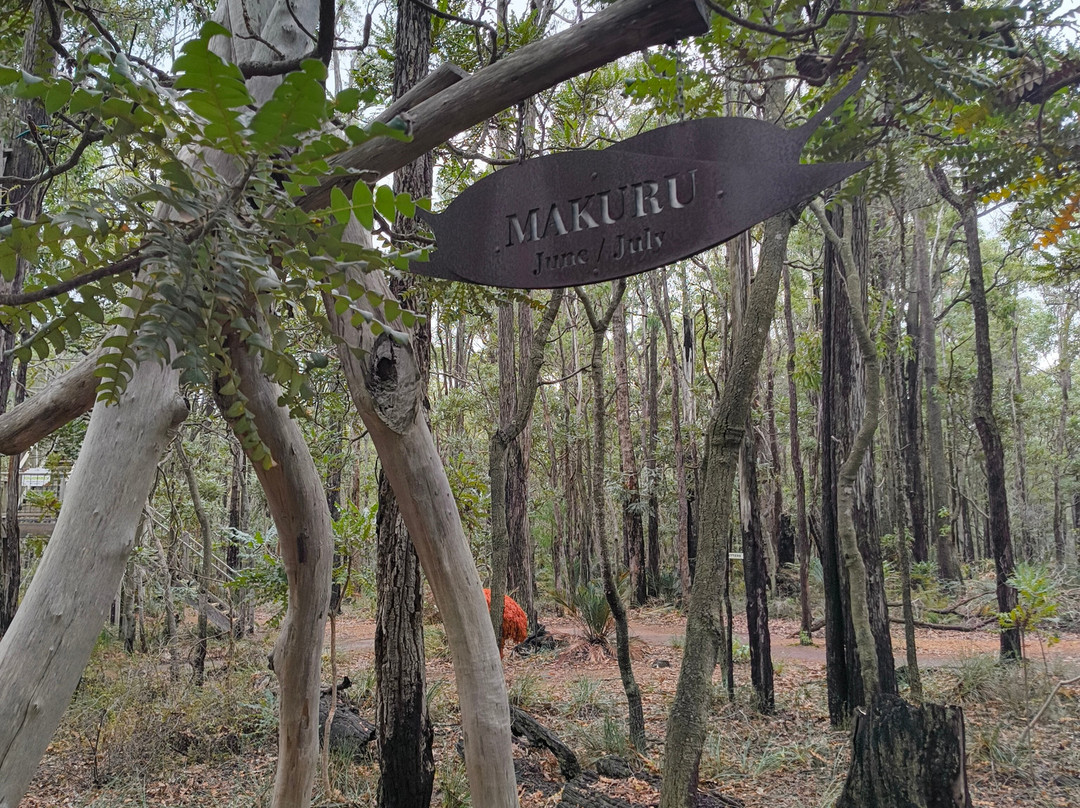 Forest Discovery Centre-Dwellingup必去景点