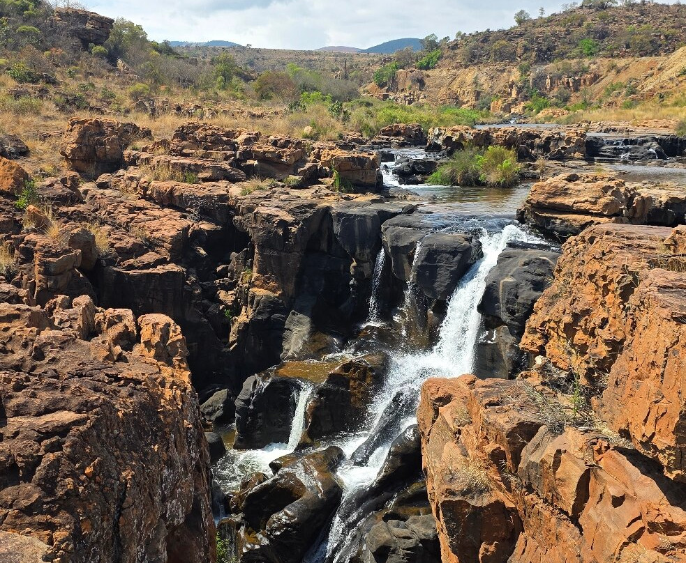 The Other Animals Safaris-克鲁格国家公园必去景点