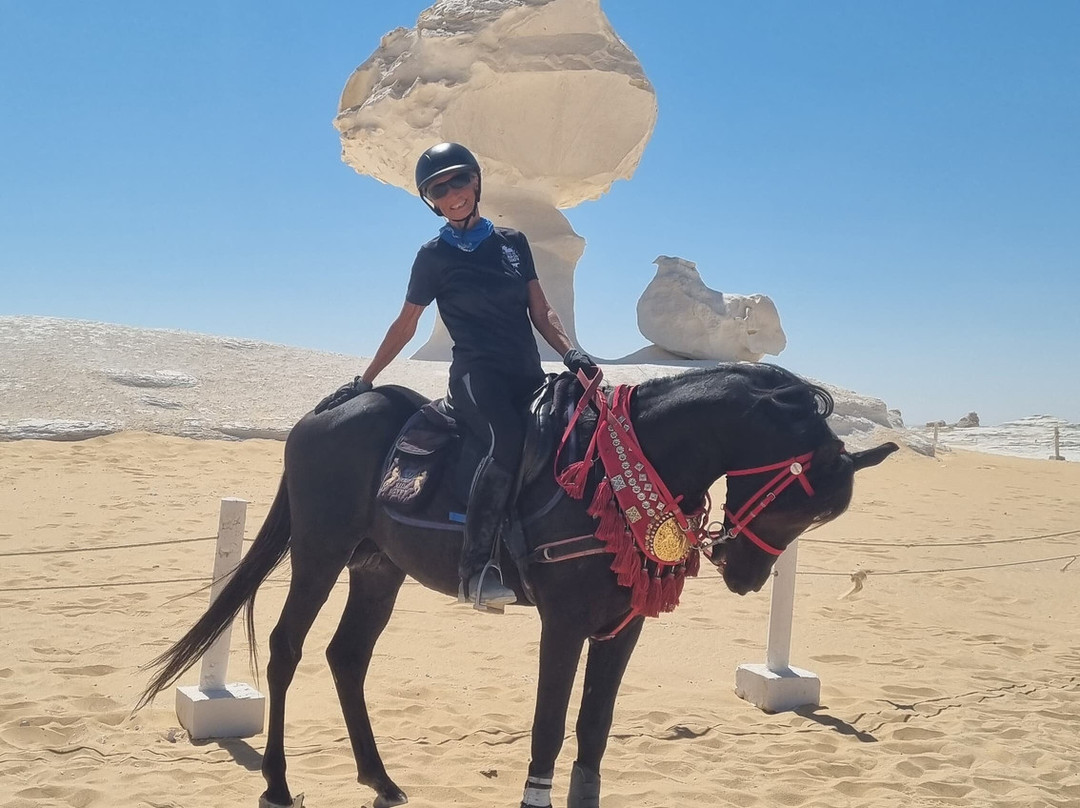 Ride Egypt-赫尔格达必去景点