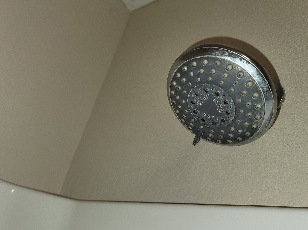 AmericInn Lodge & Suites Vidalia主图