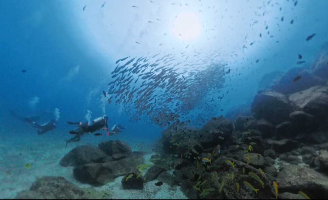 Panama Dive Center-Santa Catalina必去景点