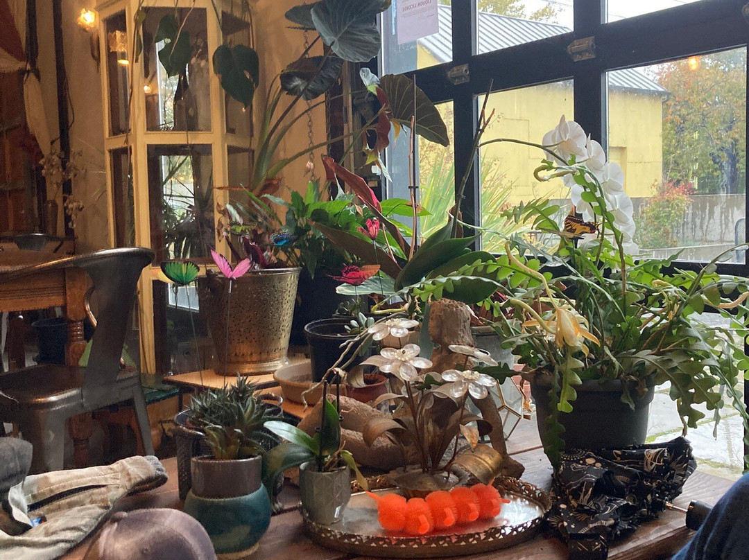 Propolis Brewing-汤森港必去景点