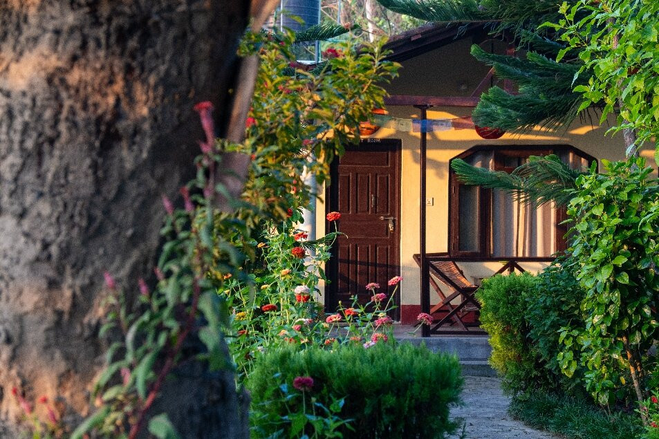 Bardia Homestay主图