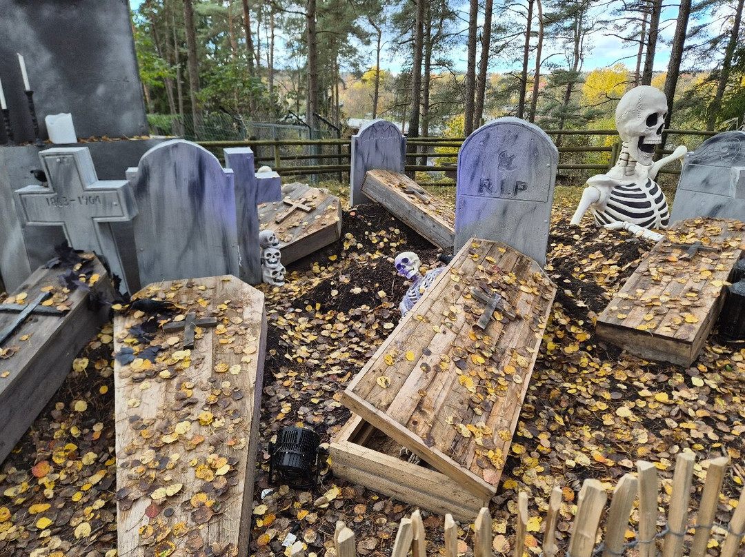 Borås Djurpark-Boras必去景点
