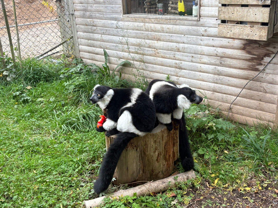 Bristol Zoo Project-Easter Compton必去景点