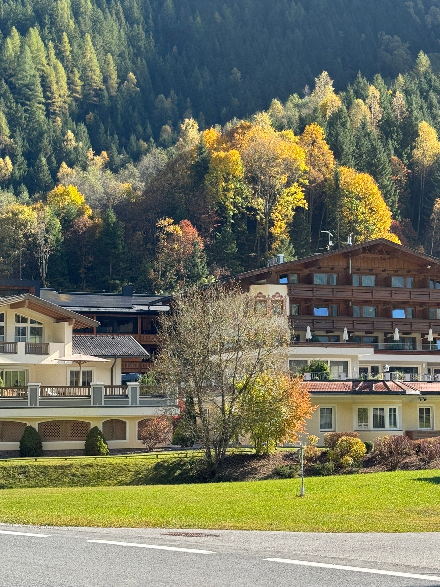 Vitalhotel Edelweiss-官方