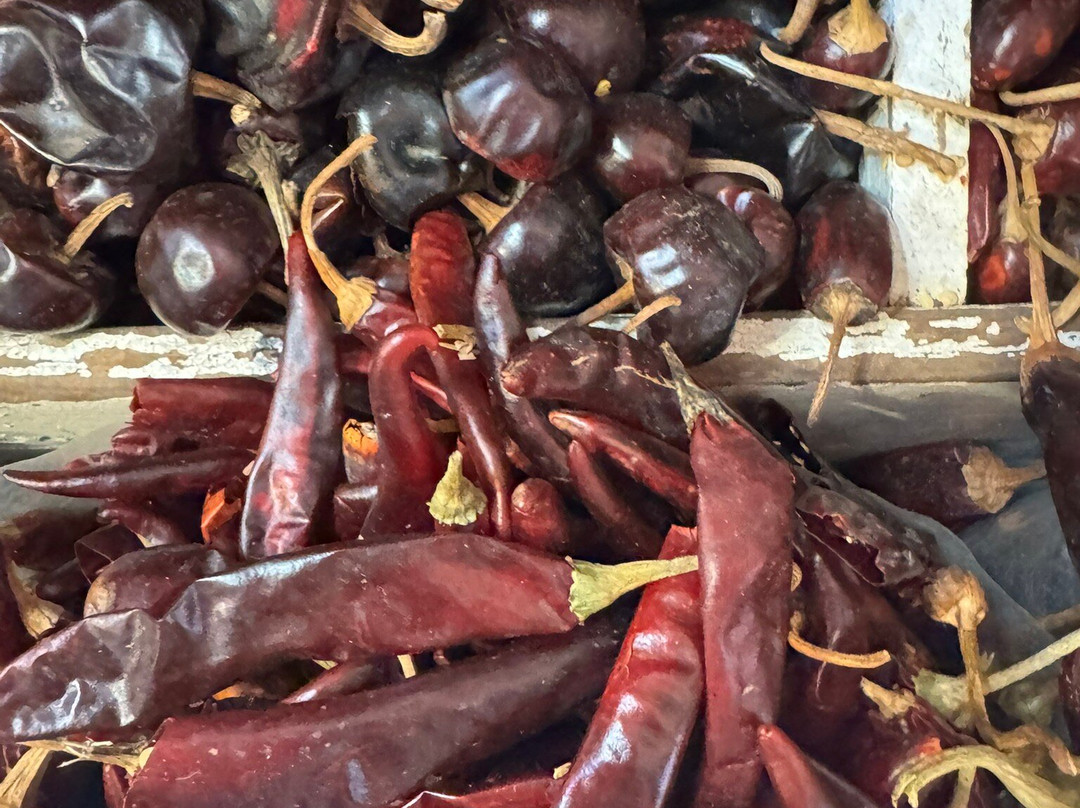 Mercado de Medellin-墨西哥城必去景点