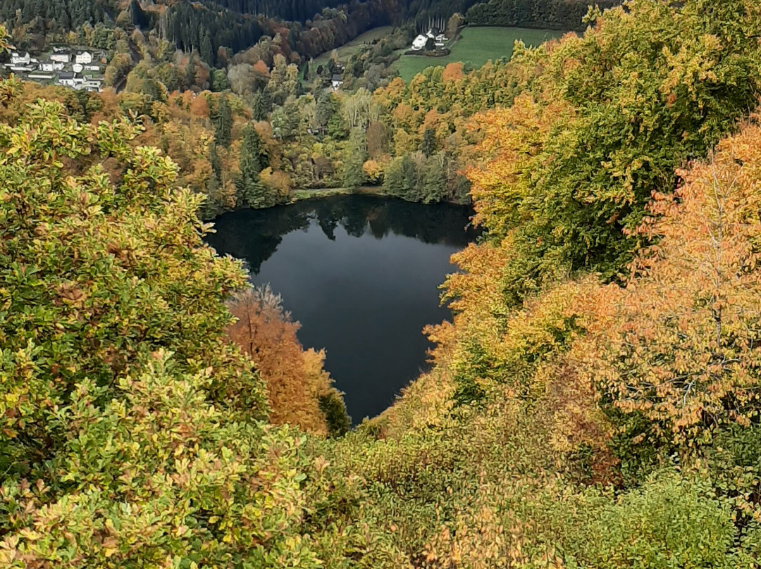 Gemündener Maar-Daun必去景点