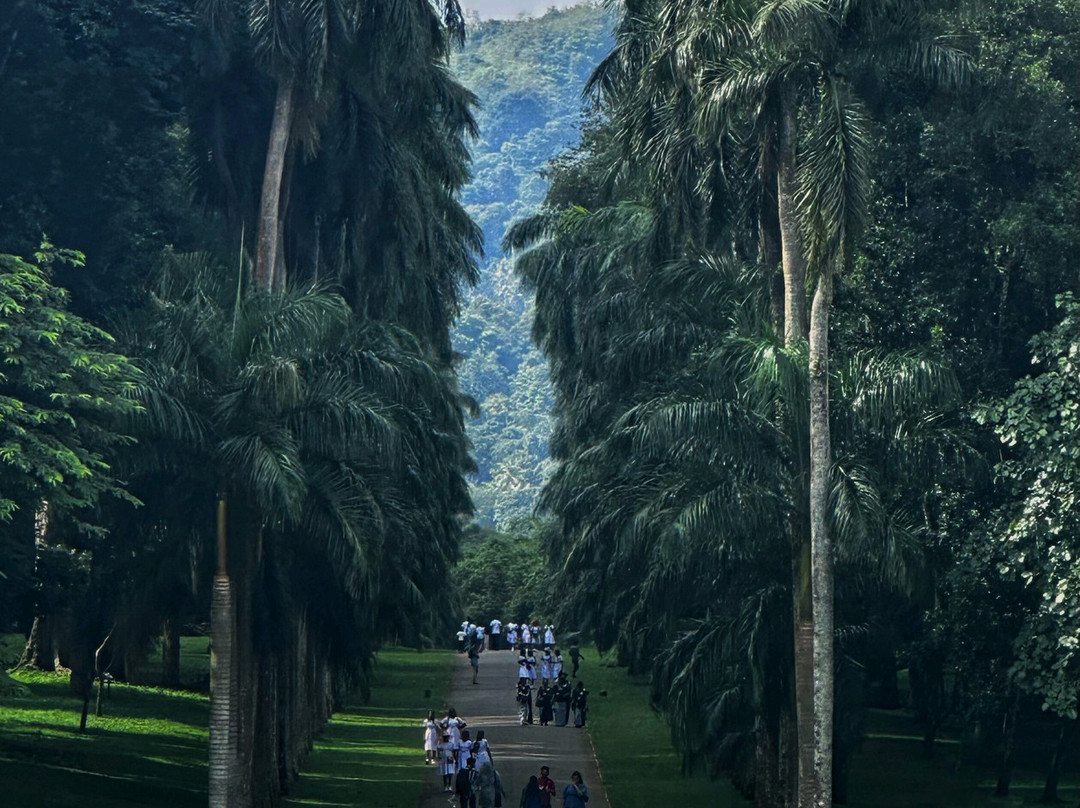 Show Lanka Tours-Minuwangoda必去景点