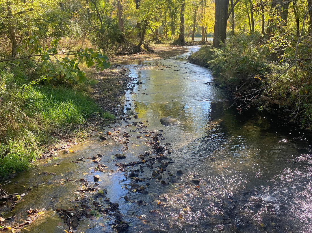 Farnsworth House-Plano必去景点