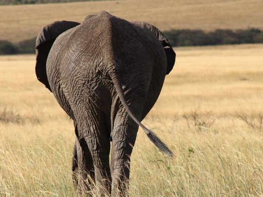 Wild Springs Adventures-内罗毕必去景点