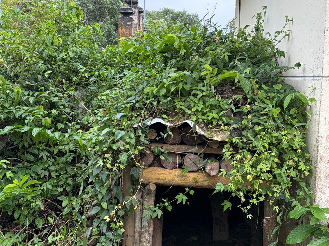 Ky Anh Tunnel-Tam Ky必去景点