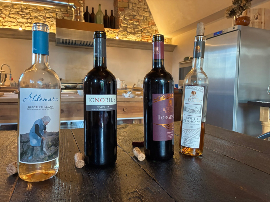 Azienda Agricola Il Palagio di Panzano-Panzano in Chianti必去景点