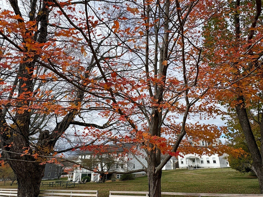 Canterbury Shaker Village-Canterbury必去景点
